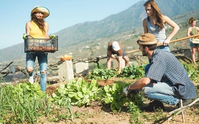 TUYỂN 14 NAM NÔNG NGHIỆP HUNGARY