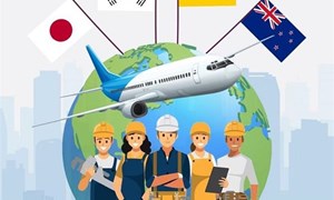 Top 10 công ty xuất khẩu lao động uy tín tại Hà Nội