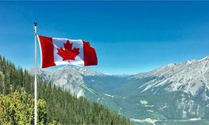 Tìm Hiểu Các Ngành Nghề Xuất Khẩu Lao Động Canada Năm 2024